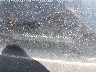 SALME15406A****** Usados 2006 Land Rover Range Rover en Fremont