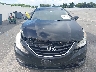 5NPEB4AC5DH****** Salvamento y Reparables 2013 Hyundai Sonata en Estado de Florida