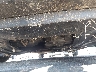 JHMGE8H36DC****** Salvage and Repairable 2013 Honda Fit in California State