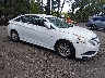 5NPEB4AC5EH****** Salvage and Wrecked 2014 Hyundai Sonata in Suffolk