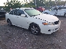 JH4CL96816C****** Salvamento y Destrozados 2006 Acura TSX en West Palm Beach