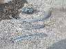 3FAHP0DC7BR****** Wrecked 2011 Ford Fusion in Iowa State