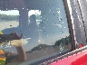 1FTEX1C89FK****** Salvage and Repairable 2015 Ford F-150 in North Carolina State