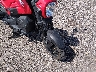 3H1JK0703ND****** Salvamento 2022 Honda Navi