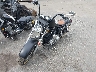 1HD1CGP11TY****** Usados y Reparables 1996 Harley-Davidson Sportster 1200 en Long Island