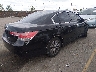 1HGCP2F76BA****** Salvamento y Destrozados 2011 Honda Accord en Estado de Colorado