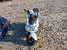 LL0TCAPH5NG****** Used and Repairable 2022 Yongfu YN50QT; YN150T; YN250T in North Carolina State
