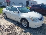 1N4BL2AP2BN****** Salvamento y Destrozados 2011 Nissan Altima en Raleigh