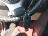 1D8HN44H98B****** Salvage 2008 Dodge Grand Caravan in Ohio State