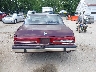1G4HP54C3MH****** Salvage 1991 Buick LeSabre