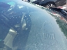 WBAVA33527P****** Salvage and Repairable 2007 BMW 3 Series in North Carolina State