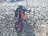 ZDMBAS2N6TB****** Used and Repairable 2026 Ducati Hypermotard in Oregon State