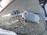 1HGCG56722A****** Salvage 2002 Honda Accord in South Carolina State