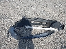 JHLRE48337C****** Wrecked 2007 Honda CR-V in New Jersey State