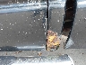 3D7KU28D74G****** Salvamento y Reparables 2004 Dodge Ram 2500 en Estado de Maine