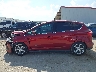 1FADP5CU4GL****** Salvamento 2016 Ford C-Max Energi