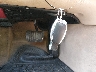 WDBRF64J61F****** Salvamento 2001 Mercedes-Benz C 320 en Estado de Maryland
