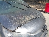 2HKRM3H74FH****** Destrozados 2015 Honda CR-V en Estado de California