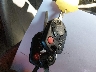 1FADP3K25EL****** Salvamento 2014 Ford Focus en Estado de Nueva Jersey