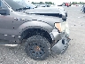 1FTFW1E85AF****** Reparables 2010 Ford F-150