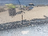 2HGFA16589H****** Wrecked 2009 Honda Civic