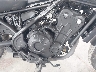 MLHPC5653K5****** Destrozados 2019 Honda Cmx500 en Rec Rides Online Exclusive