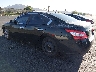 1N4AA5AP5AC****** Salvamento y Reparables 2010 Nissan Maxima en Las Vegas