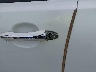 KNAGM4AD1C5****** Salvamento y Reparables 2012 Kia Optima en Estado de California