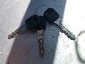 1GCEC19M3WE****** Salvamento 1998 Chevrolet C/K en Estado de California
