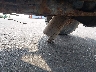 4TAVN73K4SZ****** Destrozados 1995 Toyota Tacoma
