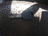 2FMDK4KC7DB****** Salvage 2013 Ford Edge in South Carolina State