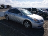 1N4AL21E08N****** Salvage and Wrecked 2008 Nissan Altima in Las Vegas