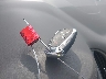 1G1ZD5ST7NF****** Salvamento 2022 Chevrolet Malibu en Estado de Iowa