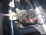 1FMCU9GD9HU****** Salvage 2017 Ford Escape in Rhode Island State