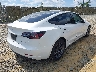 5YJ3E1EB5MF****** Salvage and Wrecked 2021 Tesla Model 3 in Virginia State