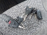 1D7HU18N37S****** Salvamento 2007 Dodge Ram 1500 en Estado de Massachusetts