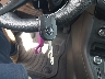 1FADP3F21FL****** Salvamento 2015 Ford Focus en Estado de Virginia