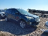 1FMCU0GD4KU****** Salvamento y Destrozados 2019 Ford Escape en McAllen