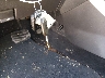 1FAHP35N18W****** Salvage 2008 Ford Focus in Maryland State