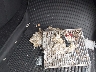 JTMP1RFV3KD****** Salvamento y Reparables 2019 Toyota RAV4 en Estado de Massachusetts