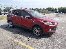1FMCU0GX1EU****** Salvage and Wrecked 2014 Ford Escape in Lexington