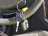 1FAFP24196G****** Salvage 2006 Ford Five Hundred in Florida State
