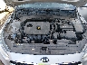 3KPF34AD3KE****** Repairable 2019 Kia Forte in Phoenix