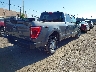 1FTFW1ED3MF****** Salvamento y Destrozados 2021 Ford F-150 en Estado de Michigan