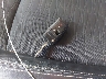 KL4CJBSB4FB****** Salvage 2015 Buick Encore in Michigan State