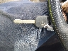 2HGFA1F67BH****** Salvamento 2011 Honda Civic en Estado de Maryland