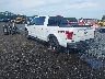 1FTEW1EF9GF****** Salvage and Repairable 2016 Ford F-150 in Sayreville