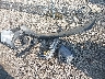 KM8JBCDE8RU****** Wrecked 2024 Hyundai Tucson in Ohio State