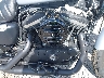 1HD4LE219LB****** Wrecked 2020 Harley-Davidson Iron 883 in Albany
