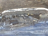 1FT7W2BT4CE****** Repairable 2012 Ford F-250 in Fontana
